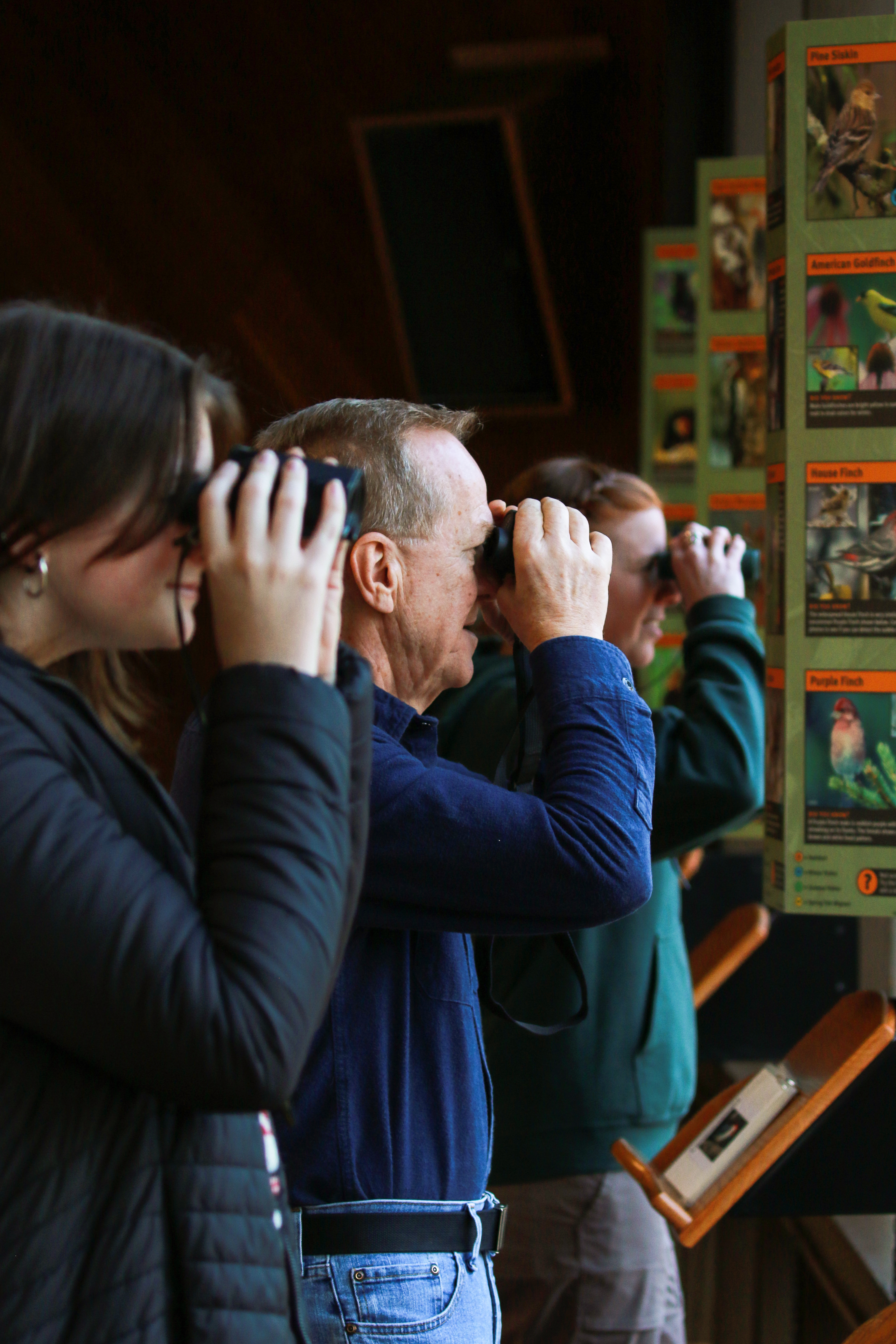 Group of bird watchers at bird viewing window in Rowe Visitor Center.